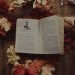 Harry Potter book lying on a table surrounded by autumn leaves, and open to Dumbledores Army chapter