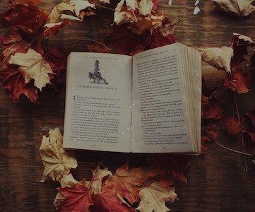 Harry Potter book lying on a table surrounded by autumn leaves, and open to Dumbledores Army chapter