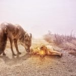Image of a small girl sleeping on a dirt path with a large dog watching over her. Girl has a lantern as if she is on a journey.