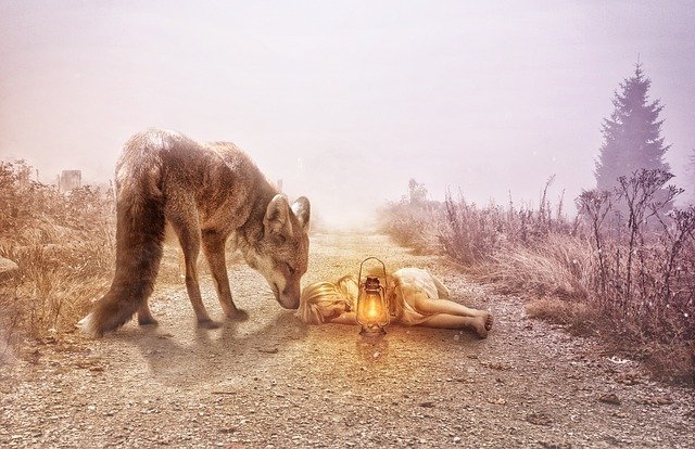 Image of a small girl sleeping on a dirt path with a large dog watching over her. Girl has a lantern as if she is on a journey.